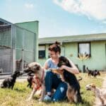 A woman kneels in a grassy animal shelter yard, smiling as she interacts with several dogs, reflecting volunteering and connection.